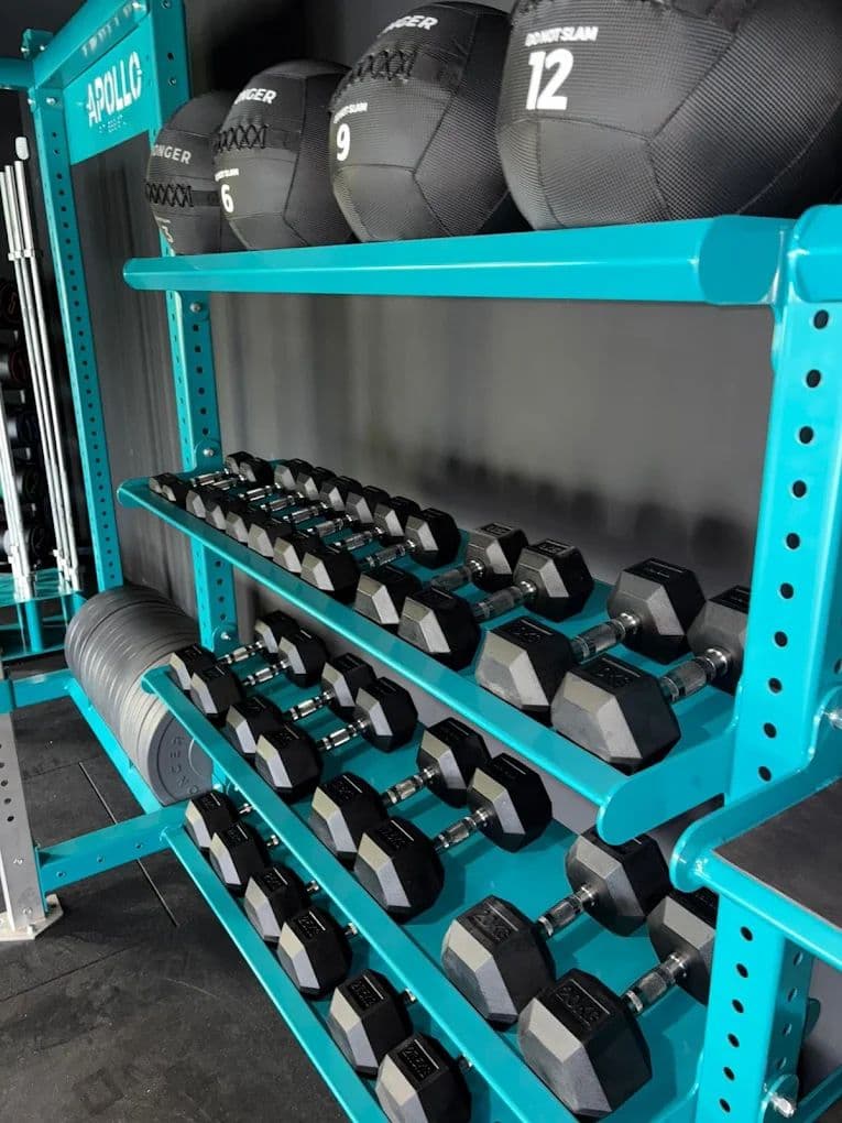 Apollo dumbbell rack